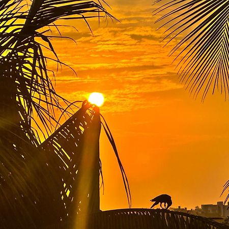فندق New Panda House كالي المظهر الخارجي الصورة